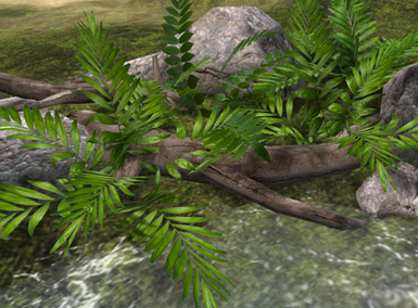 Virtual Nature 3d